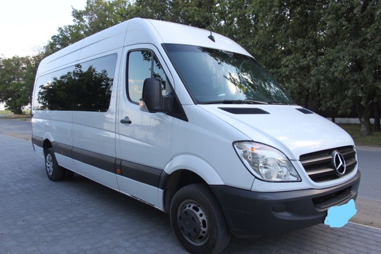 Спринтер Дельфин грузовой