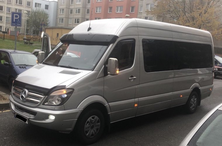 Мерседес Дельфин