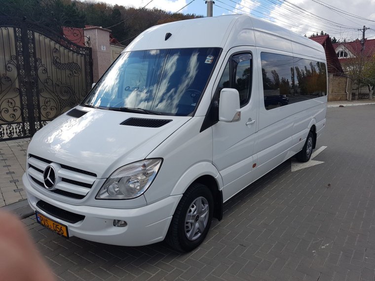 Мерседес Дельфин Грузопассажирский