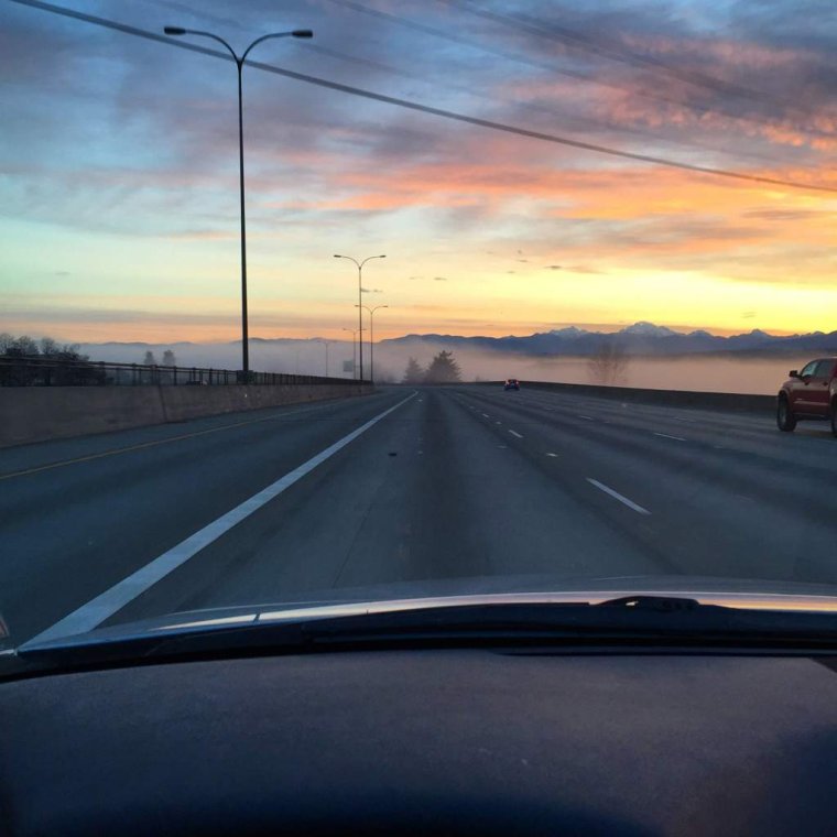 Дорога из окна автомобиля