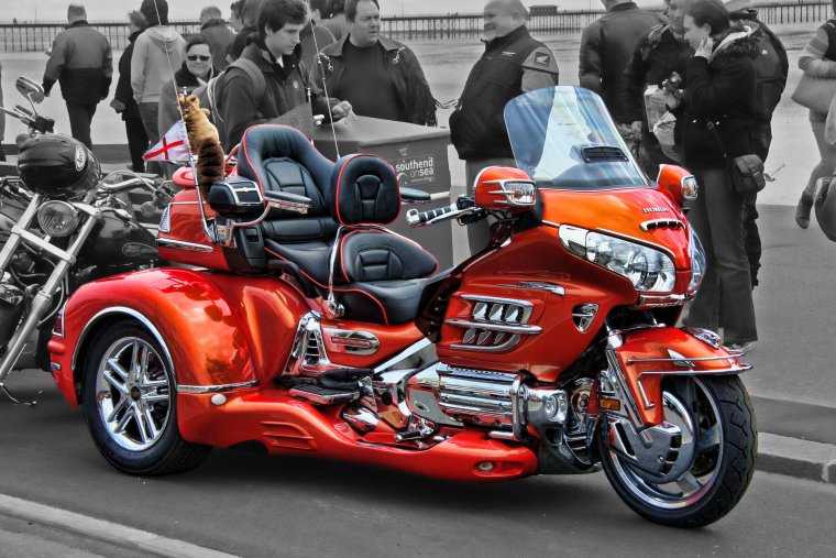 Honda Gold Wing Chopper