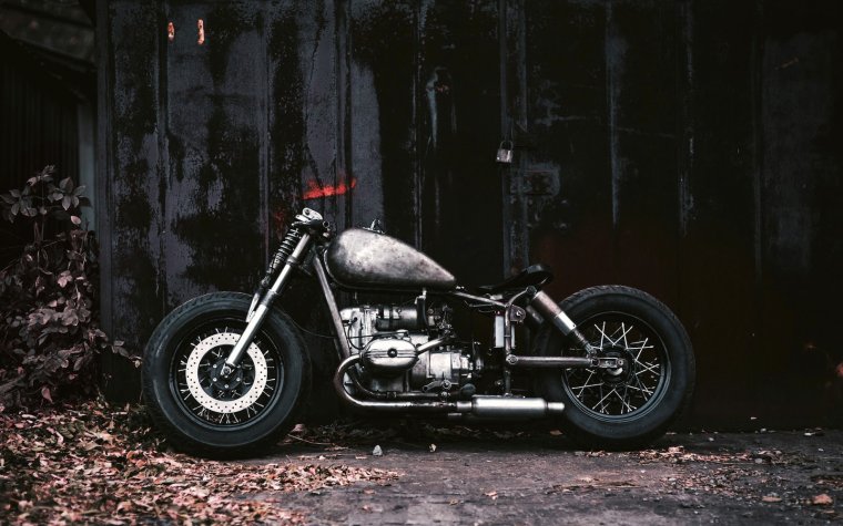 Днепр МТ 11 бобер