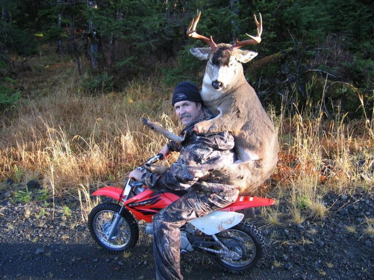 Байкеры козлы