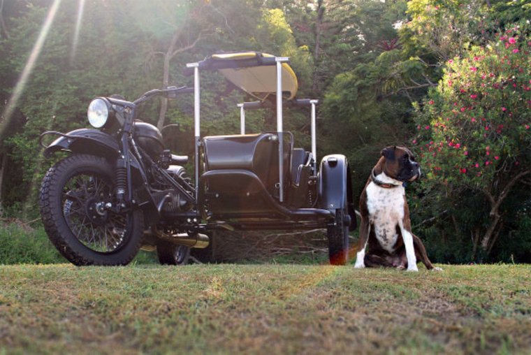 «Урал» ИМЗ-8.1238 волк