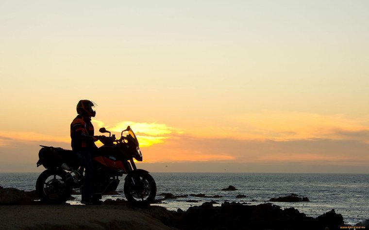 Тула Скрыльков Дмитрий