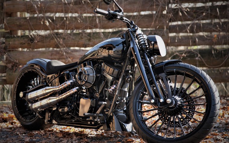 Мотоцикл Харлей Дэвидсон 1600