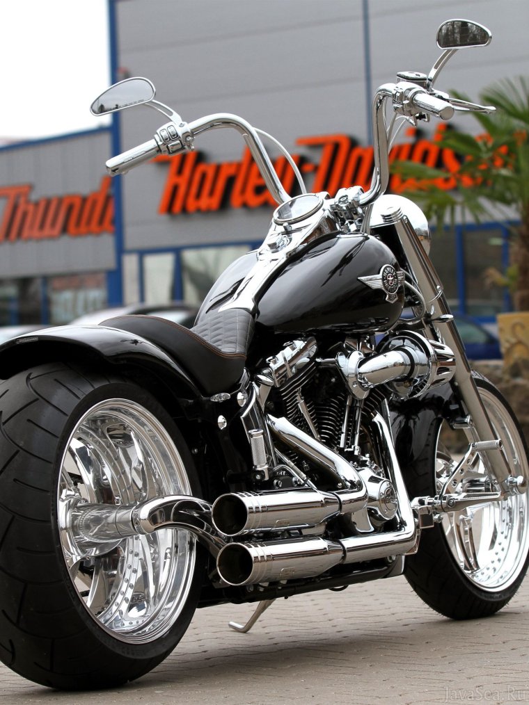 Матаскл Хейли девитсон