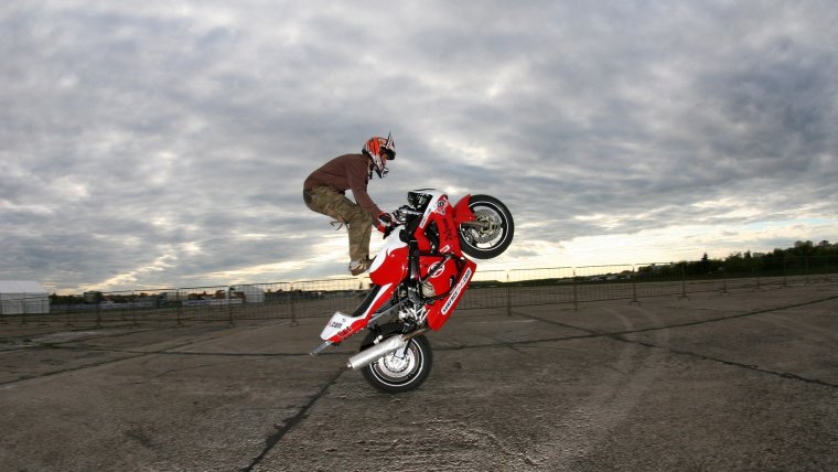 Вилли стантрайдинг