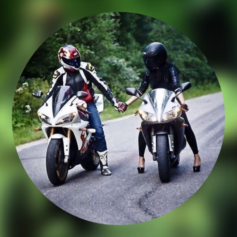 Мото цитаты приколы