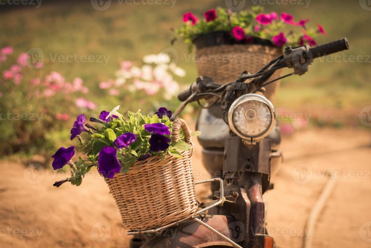 Букет цветов на мотоцикле
