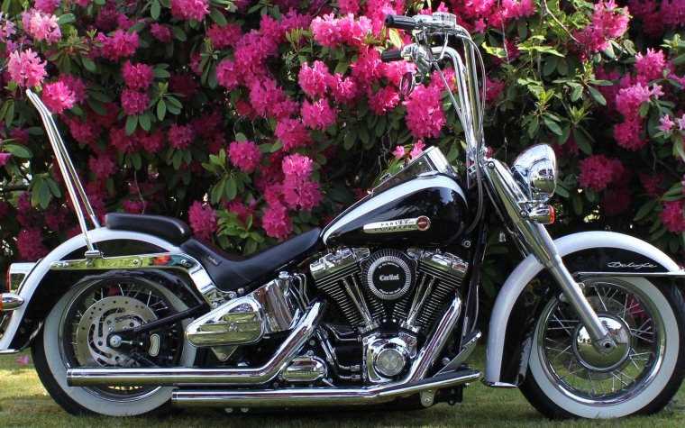 Мотоциклы Харлей Дэвидсон полностью хромированные