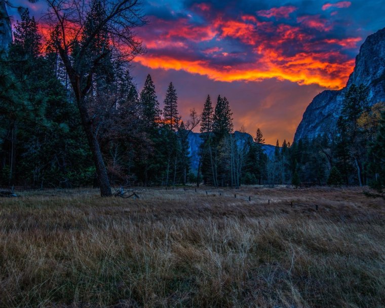 Озеро в лесу