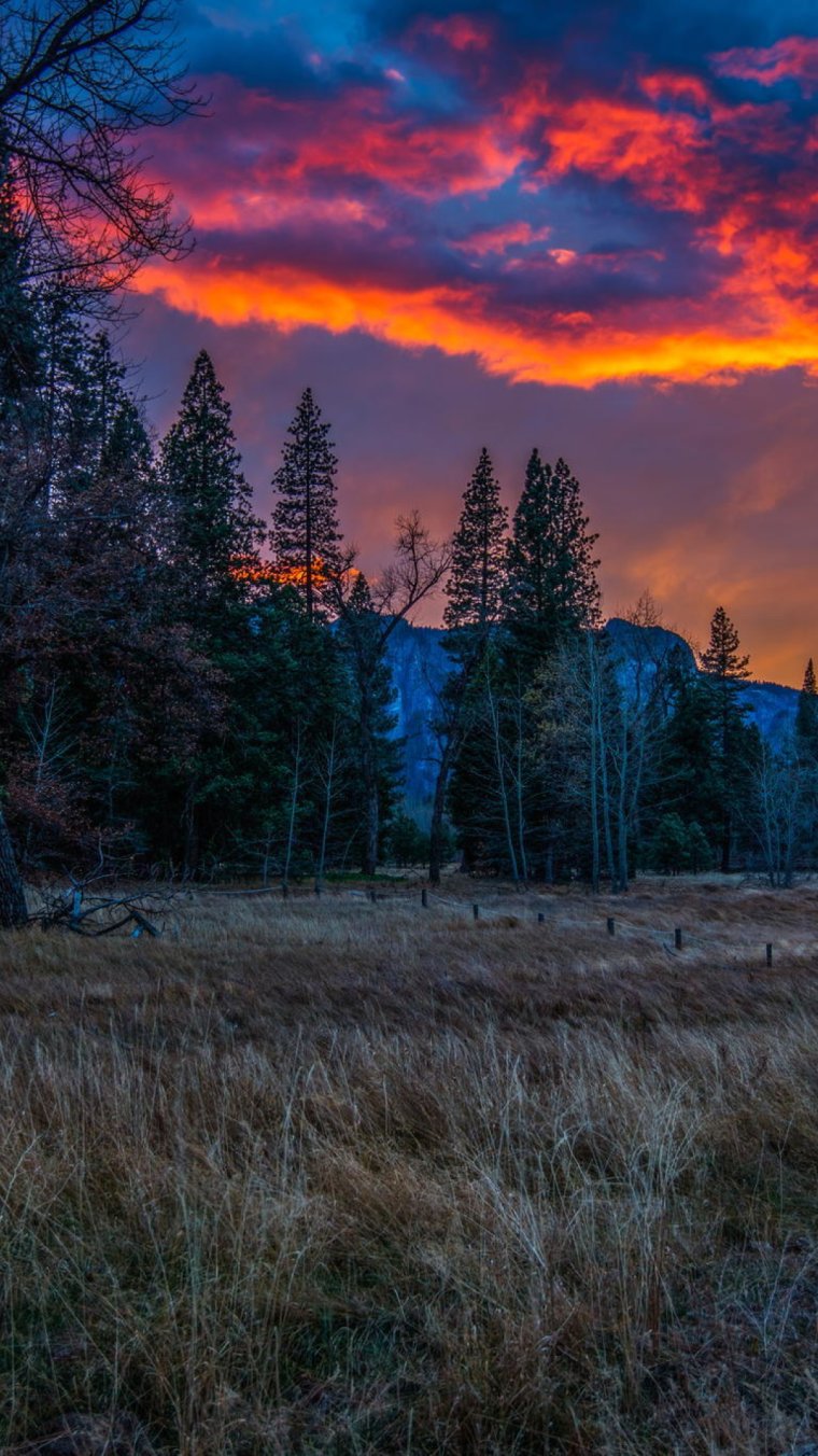 Вечерний лес