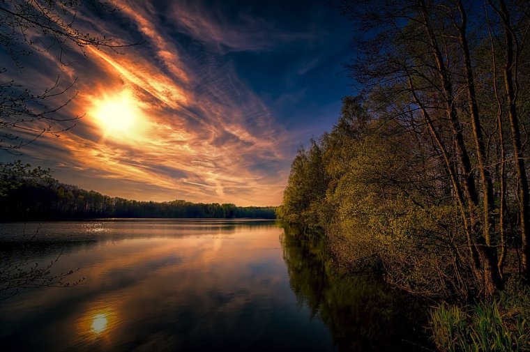 Осенний закат в лесу