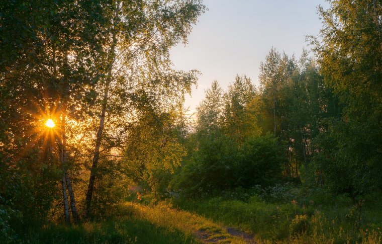 Атмосферные пейзажи