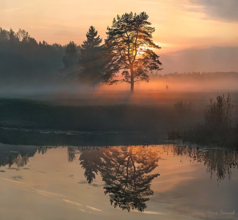 Дорога в лесу