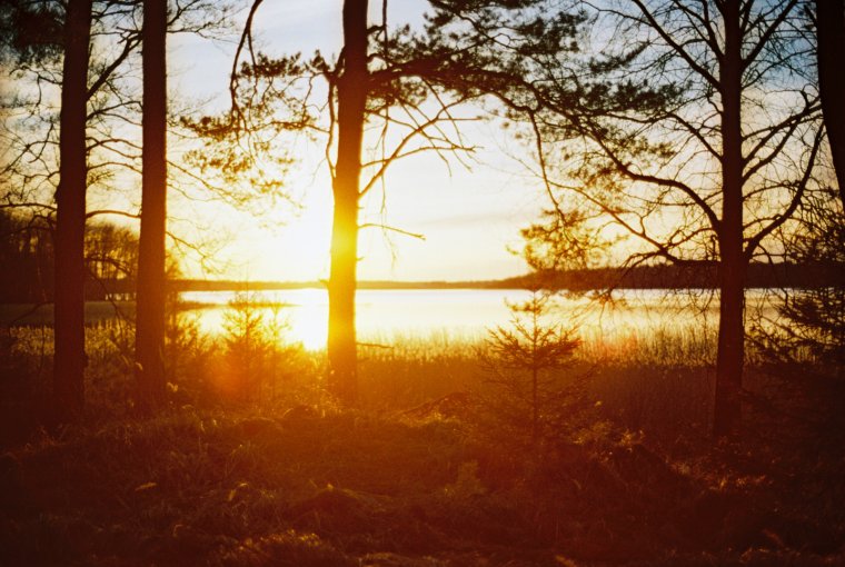 Заря прощается с землею Фет