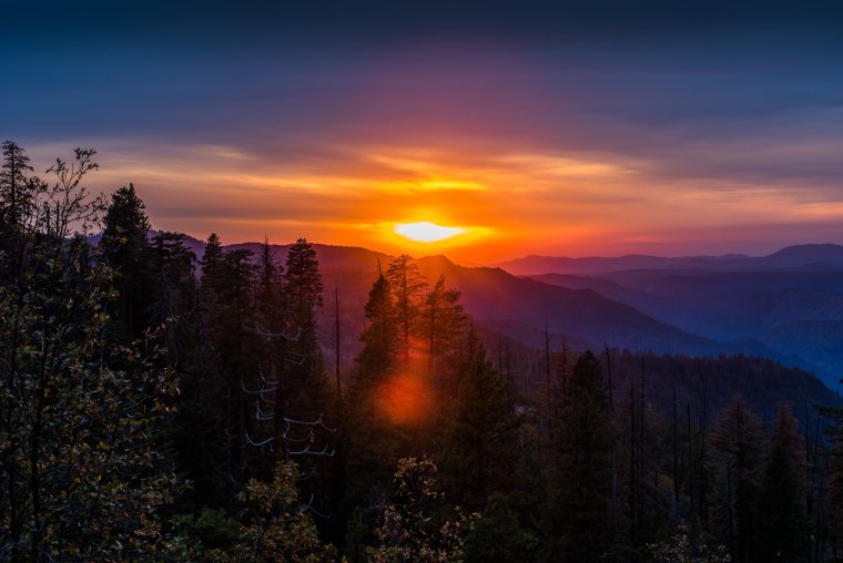 Красивый закат в лесу