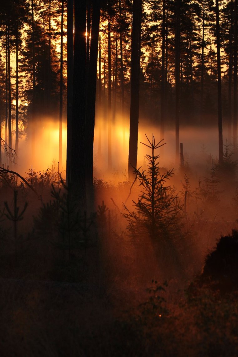 Природа закат