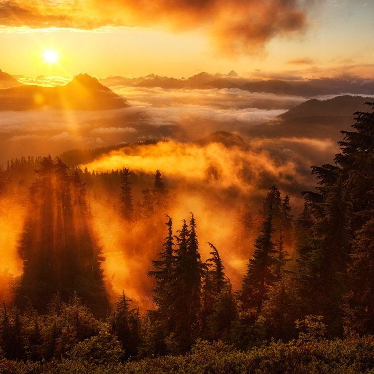 Закат в лесу