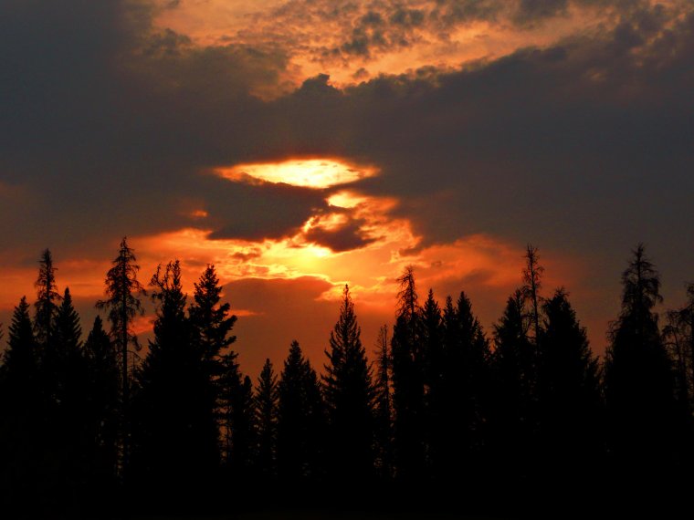 Закат в лесу