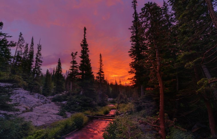 Рассвет в лесу