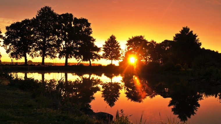 Лес вечером