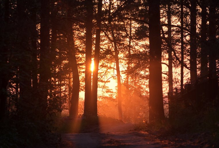 Закат над тайгой