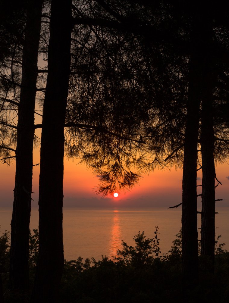 Закат в лесу