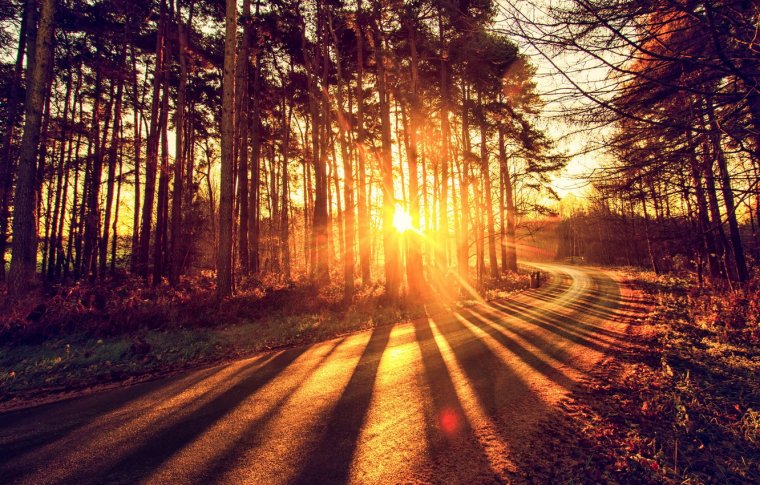 Горы лес закат