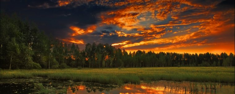 Природа закат