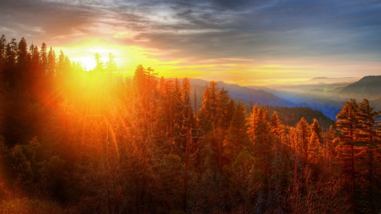 Красивый закат над деревьями