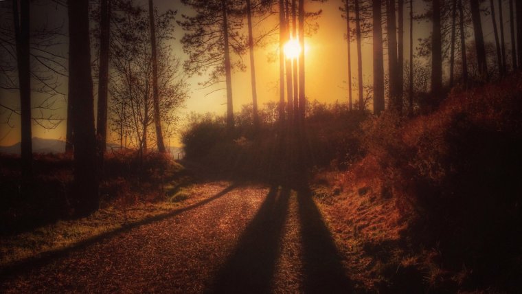 Золотая осень солнце