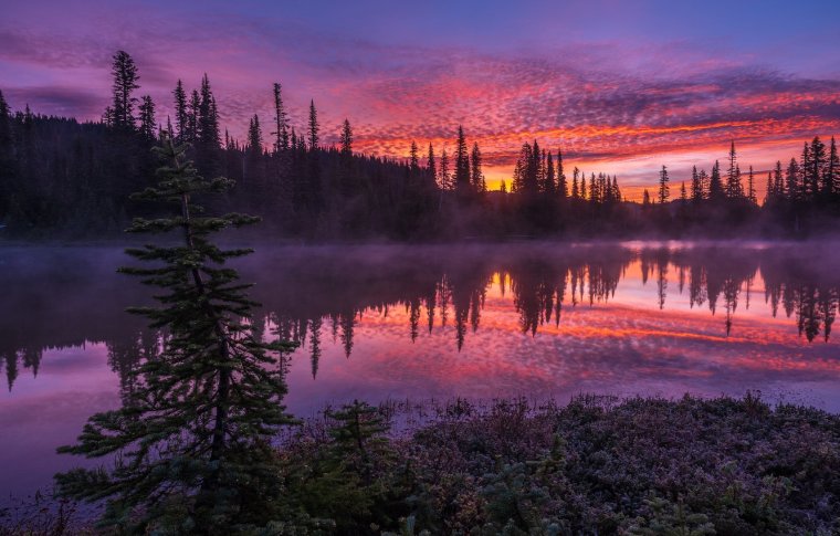 Красивый закат в лесу