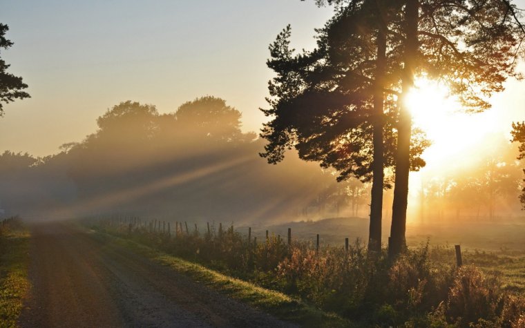 Пейзажи с лесом и озером