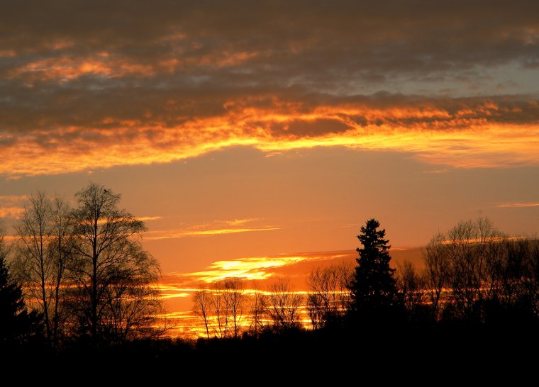 Пейзаж рассвет