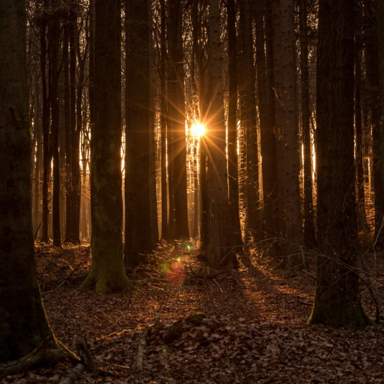 Природа закат