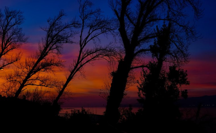 Закат солнца в лесу