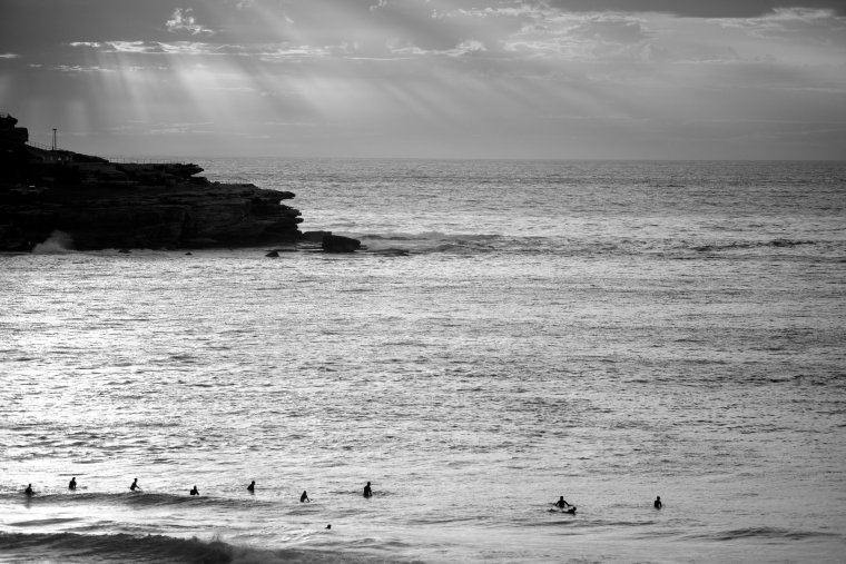 Черно белый пейзаж красками