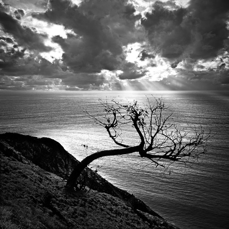 Черно белый Горизонт