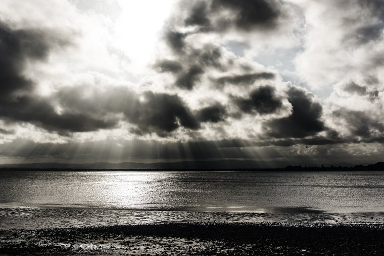 Девушка со скрипкой со спины