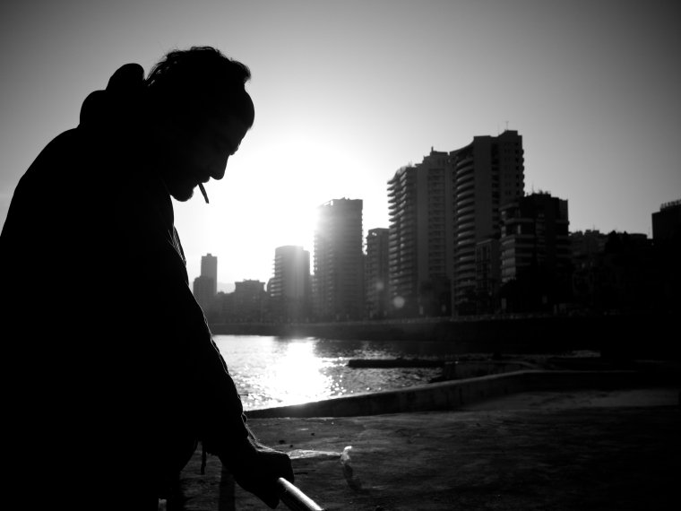 Черно белые снимки деревья