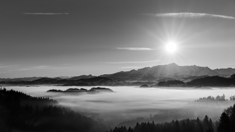 Пейзаж в темных тонах