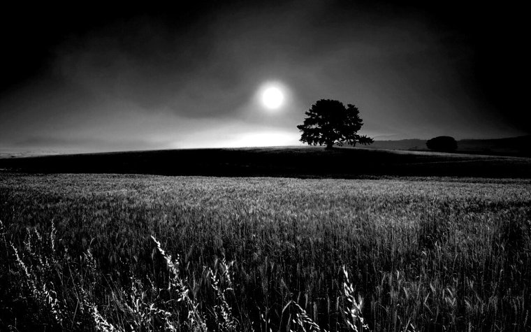 Красивый закат черный