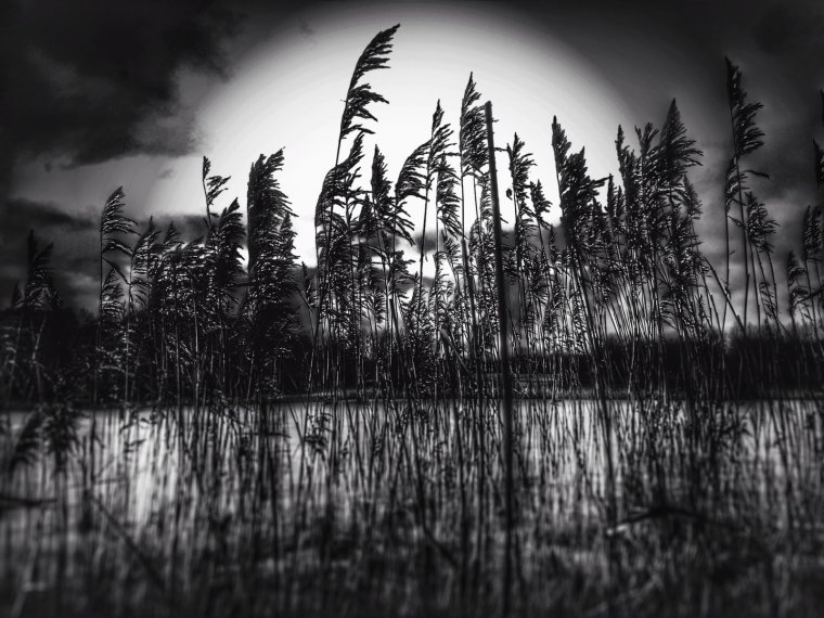 Печальное солнце черное