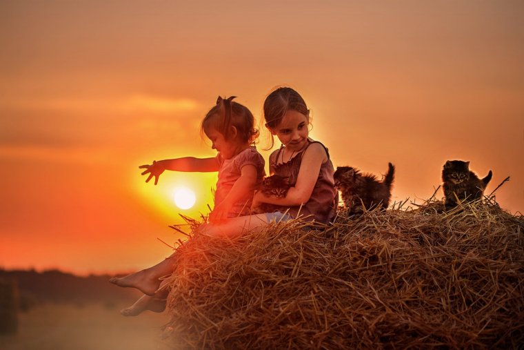 Дети рассвета