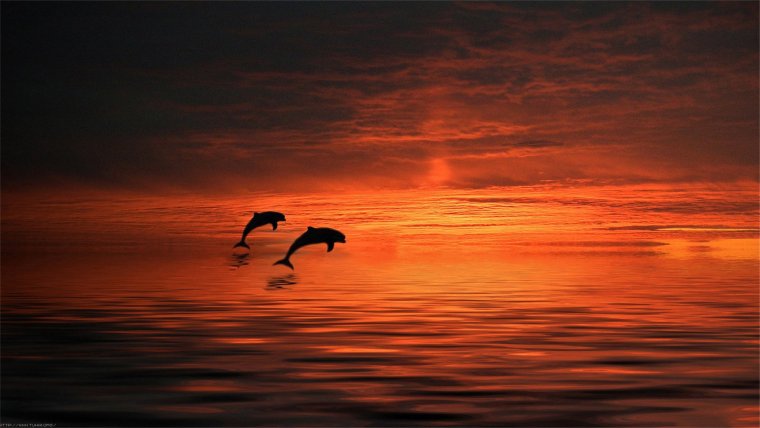 Закат на море