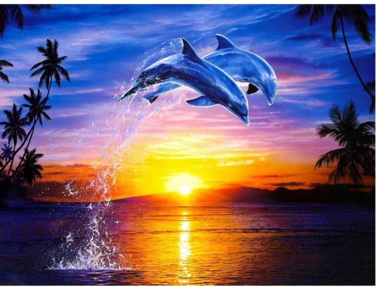 Море солнце дельфины