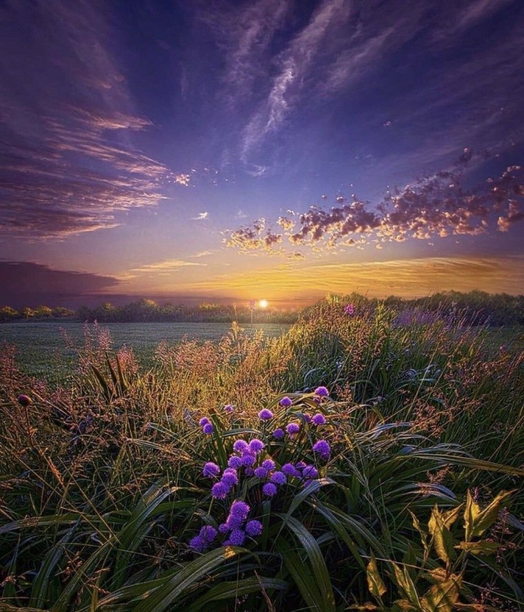 Летний закат