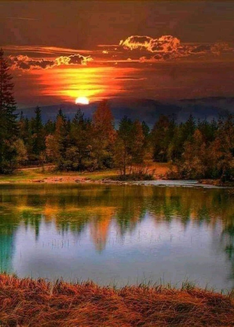 Пейзаж рассвет